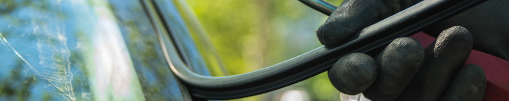 Close-up image of a person wearing black gloves holding a car windshield sealant strip, with the windshield and blurred green foliage in the background.