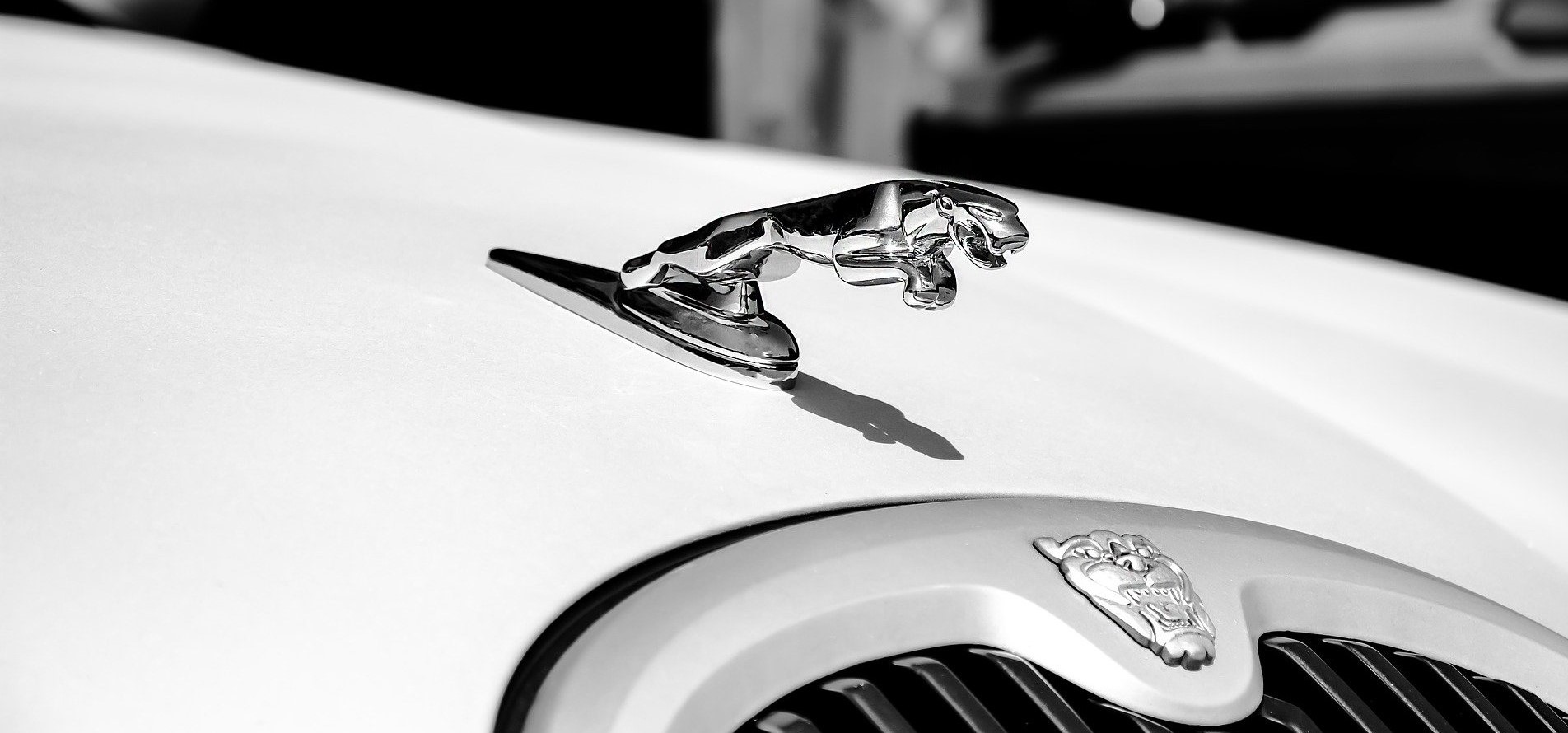 jaguar windshield replacement & repair